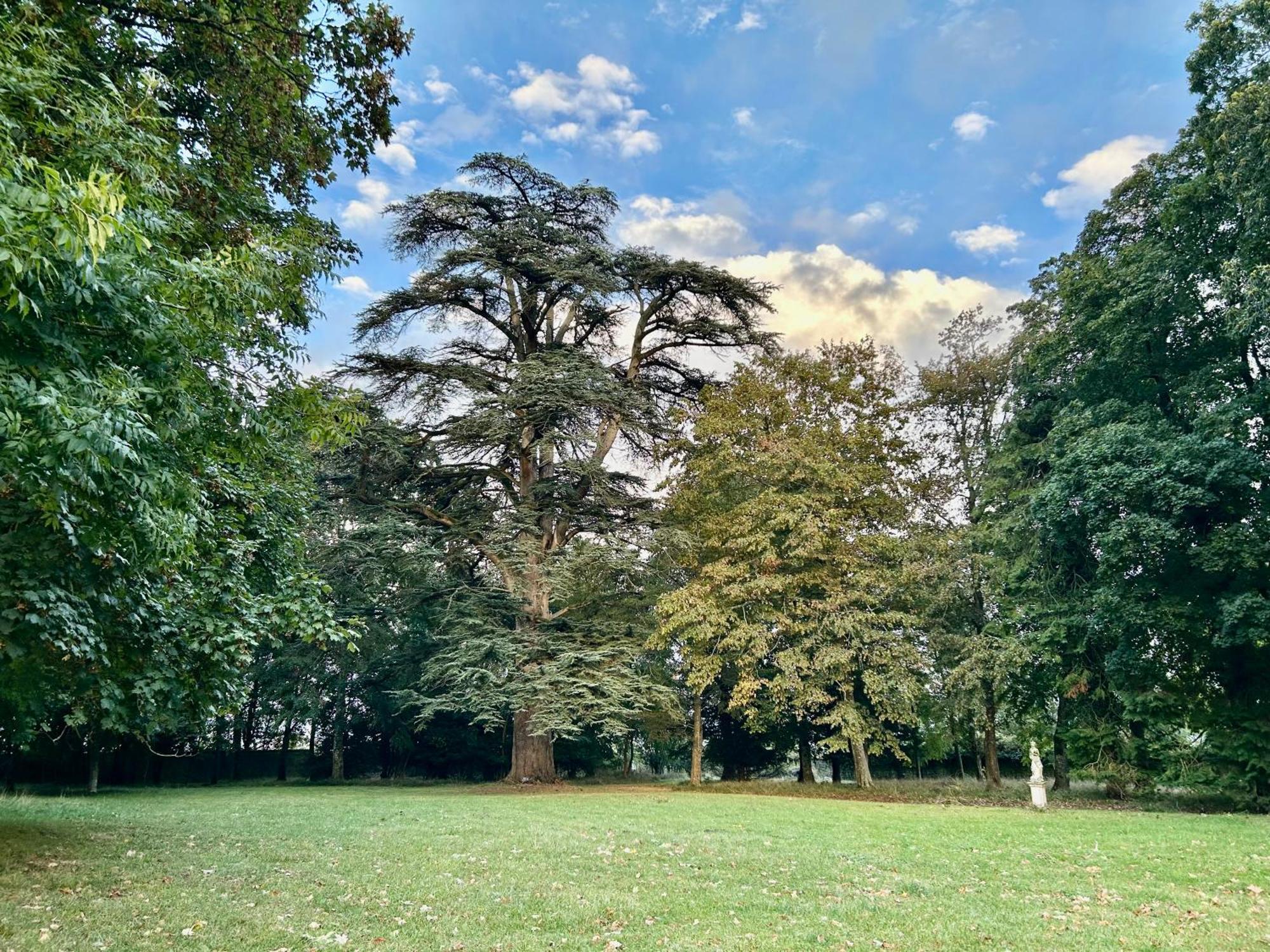 Chateau Des Feugerets Hotel Belleme Bagian luar foto