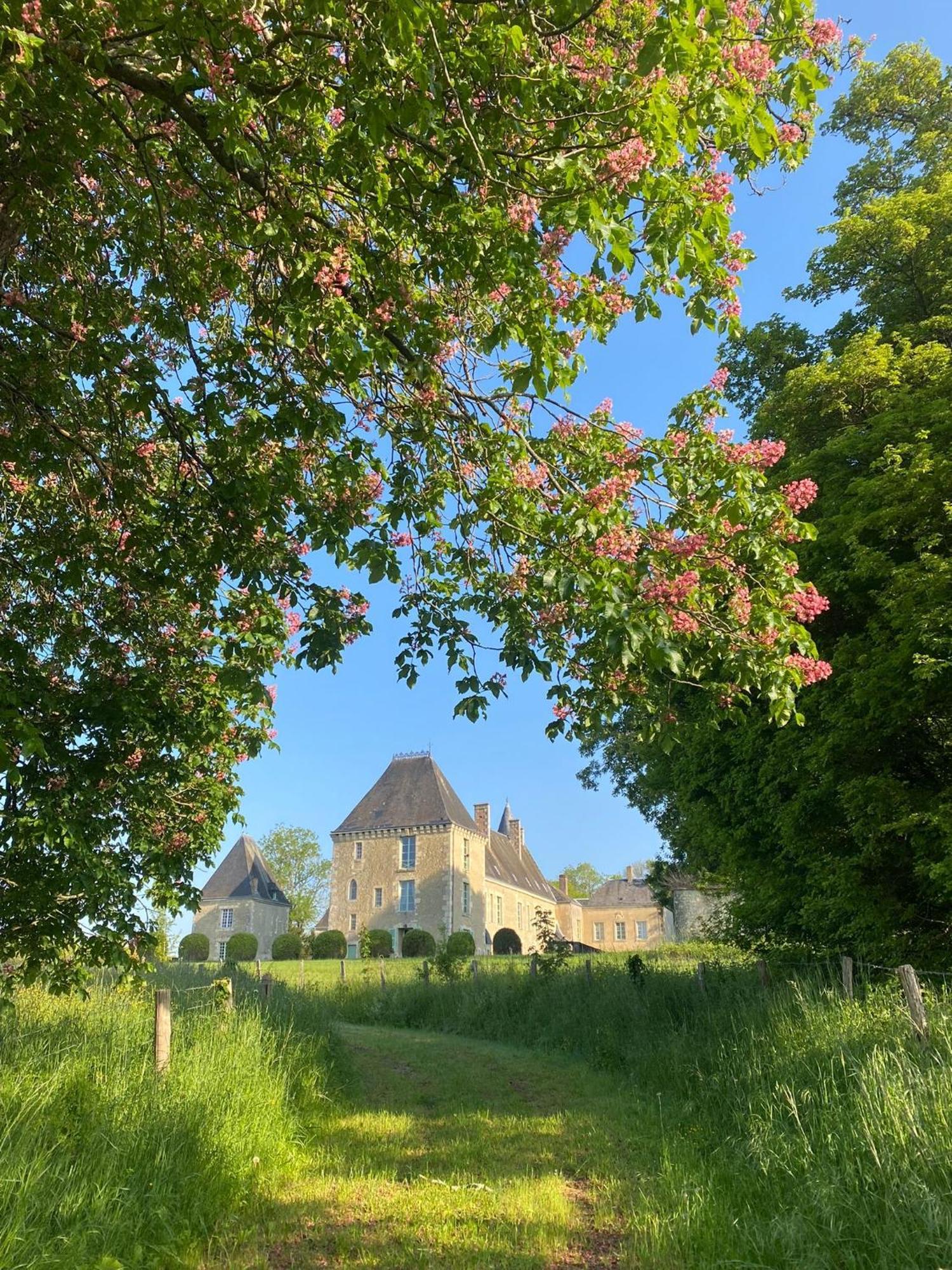 Chateau Des Feugerets Hotel Belleme Bagian luar foto