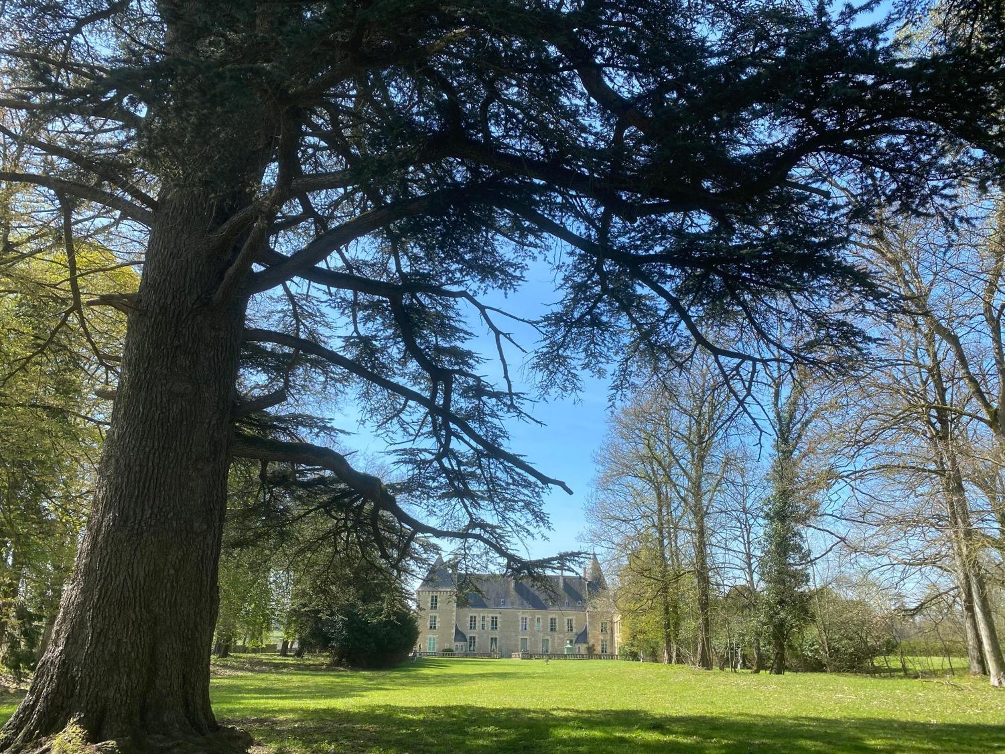 Chateau Des Feugerets Hotel Belleme Bagian luar foto